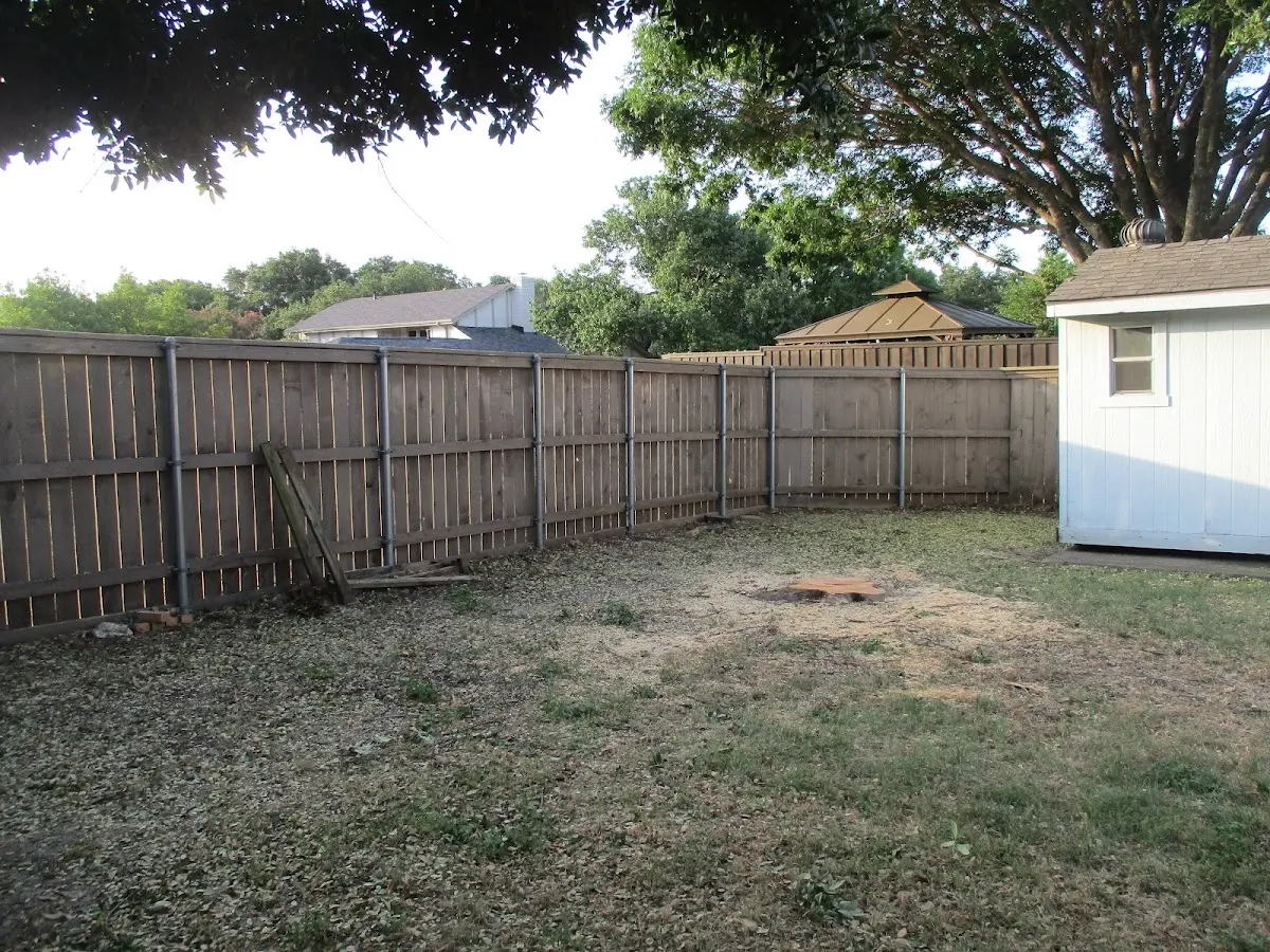 Cleared yard after professional tree removal in Newton